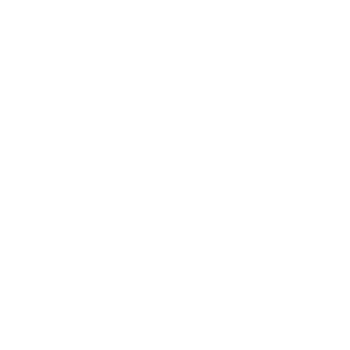 Twitter/X social media icon
